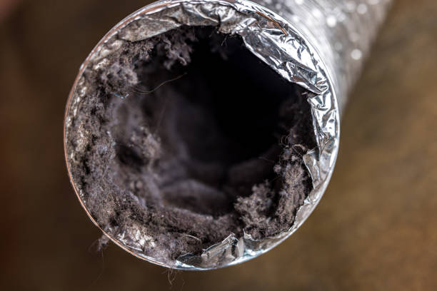 Best Affordable Air Duct Cleaning  in Queens Gate, PA