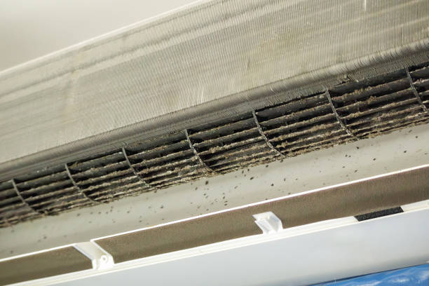 Best Air Duct Cleaning Near Me  in Queens Gate, PA